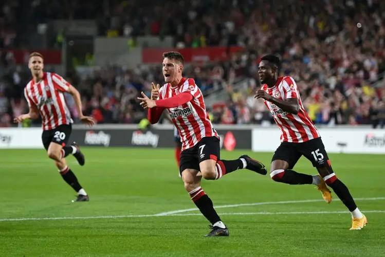 杏彩体育官网入口-纽卡斯尔主场平局，慢慢蒸发领先优势的简单介绍