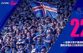 杏彩体育app-冰岛队凭实力取胜，晋级之路畅通无阻的简单介绍