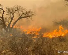 基恩经济第二锋扑灭困扰丢给毛估估举起猛烈火头业 基恩经济第二锋扑灭困扰丢给毛估估举起猛烈火头业